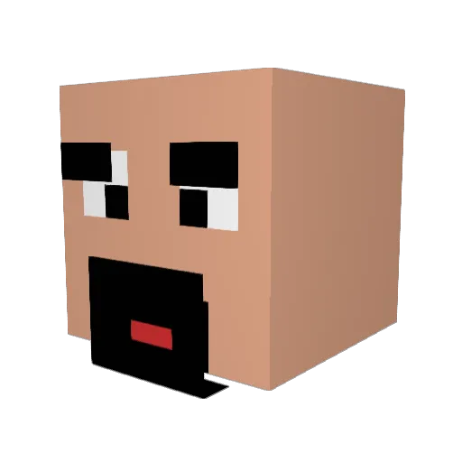 Stupidshiz Minecraft avatar head, 3D render