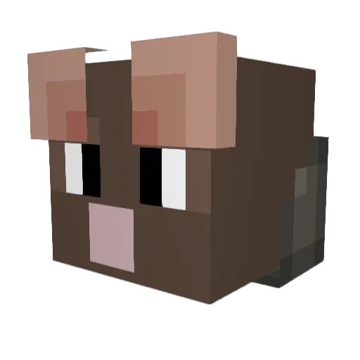 Sturbano Minecraft avatar head, 3D render