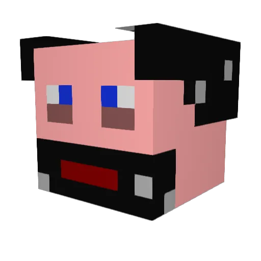 Sturdy_Turtle Minecraft avatar head, 3D render