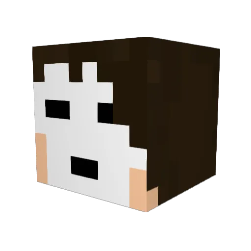 SturmMuffin90 Minecraft avatar head, 3D render