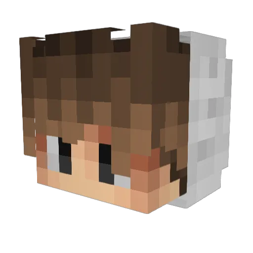 Sturmbannfuhrer_ Minecraft avatar head, 3D render