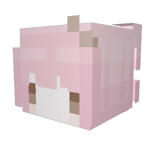 Sturmgeist89 Minecraft avatar head, 3D render