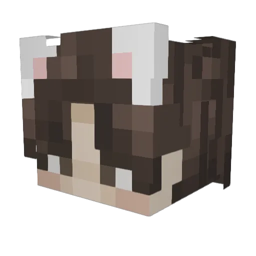 Sturming Minecraft avatar head, 3D render