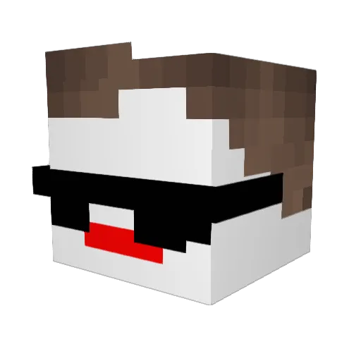 Sturmjaeger89 Minecraft avatar head, 3D render