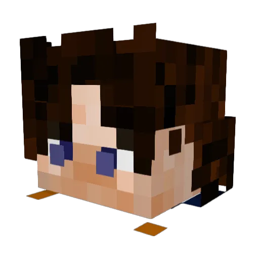 Sturvn Minecraft avatar head, 3D render