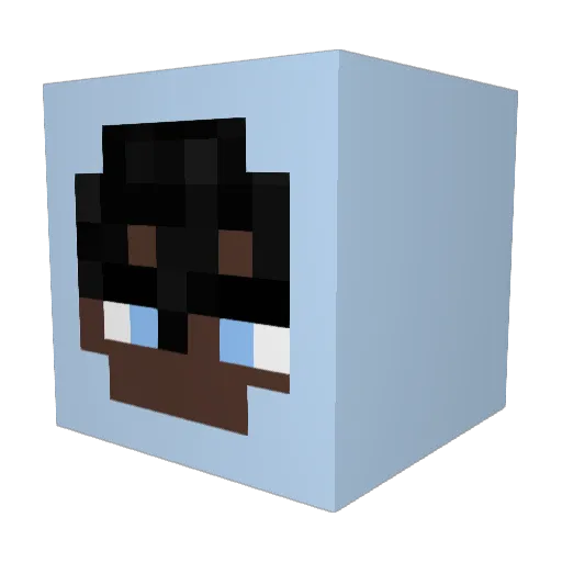 Stussy02 Minecraft avatar head, 3D render