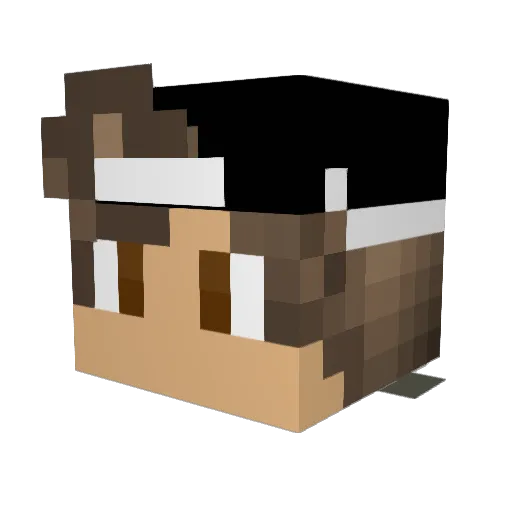 Stusty2 Minecraft avatar head, 3D render