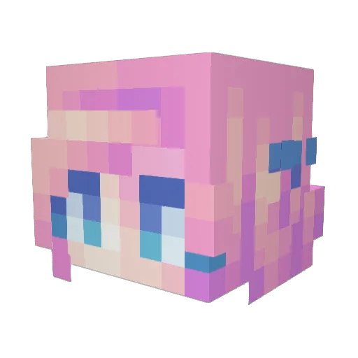 StutterJay Minecraft avatar head, 3D render