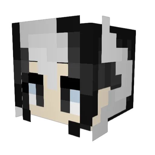 Stuxnetjr Minecraft avatar head, 3D render