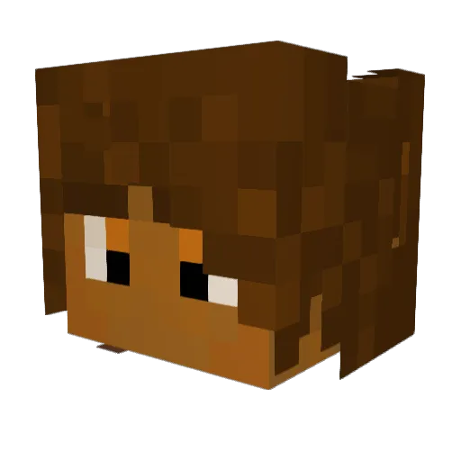 StxExty Minecraft avatar head, 3D render