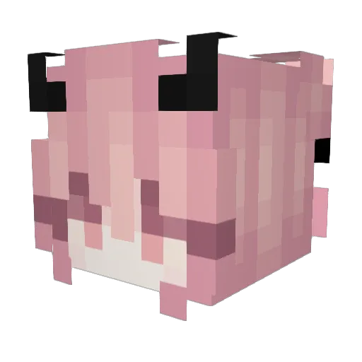 Stxllify06 Minecraft avatar head, 3D render
