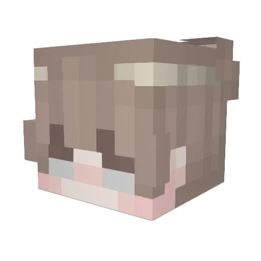 Stxlpice Minecraft avatar head, 3D render