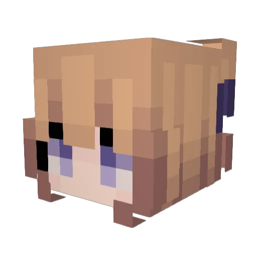 Stycore Minecraft avatar head, 3D render