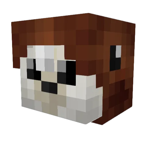 Stylerflox Minecraft avatar head, 3D render