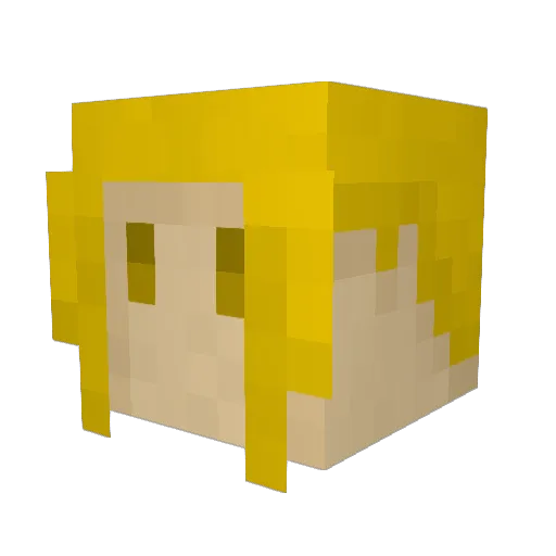 StylusEcho Minecraft avatar head, 3D render