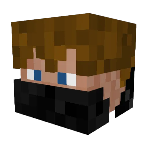 Styppka_PL Minecraft avatar head, 3D render