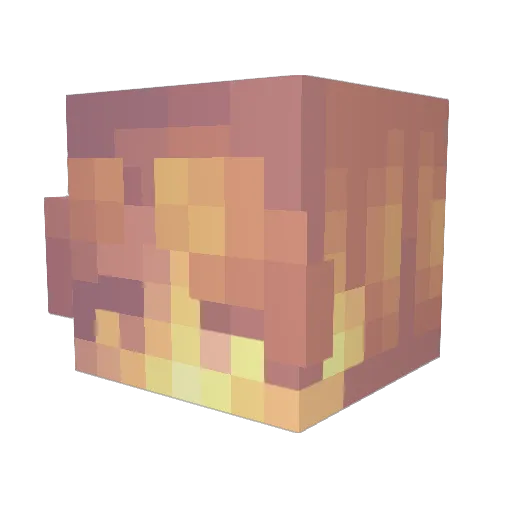 Stypticcs Minecraft avatar head, 3D render