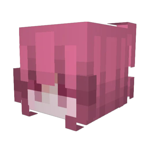 Styx_h Minecraft avatar head, 3D render