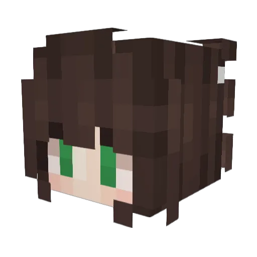 Su207 Minecraft avatar head, 3D render