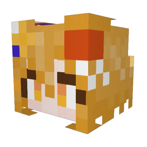 Su47Berkut Minecraft avatar head, 3D render