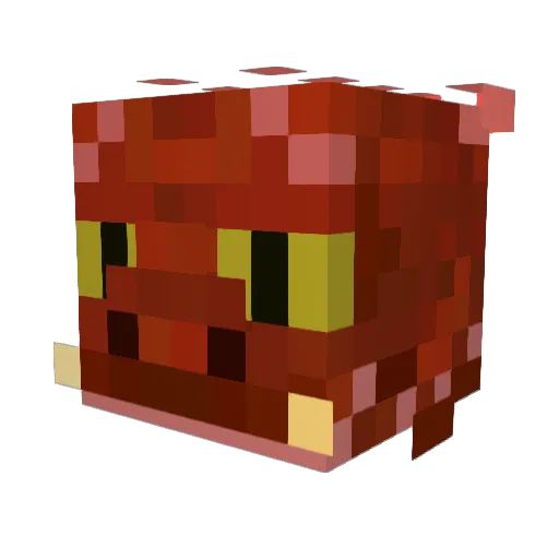 Su5 Minecraft avatar head, 3D render