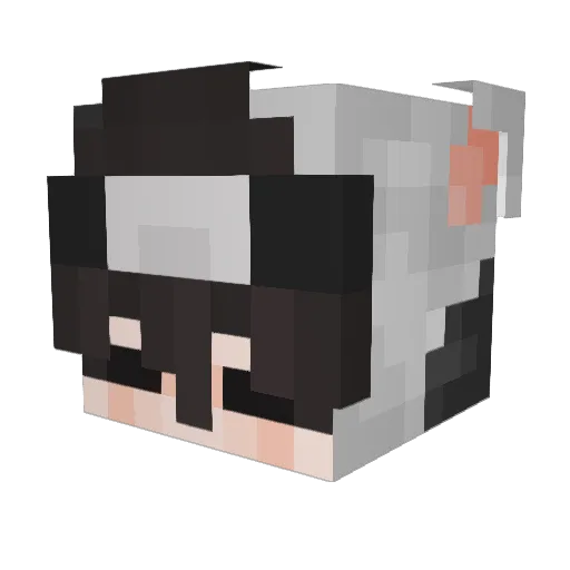 SuBin1234 Minecraft avatar head, 3D render