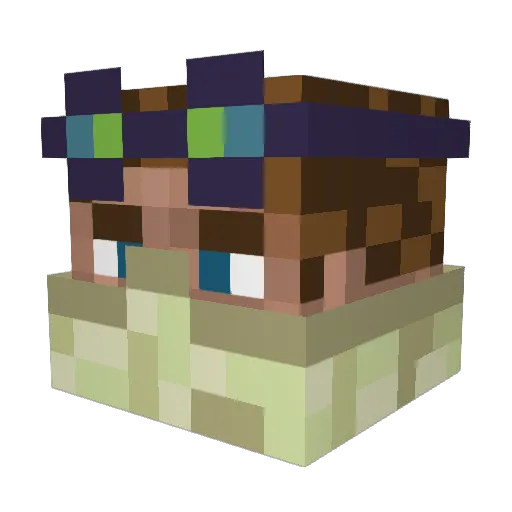 SuBj3cT Minecraft avatar head, 3D render