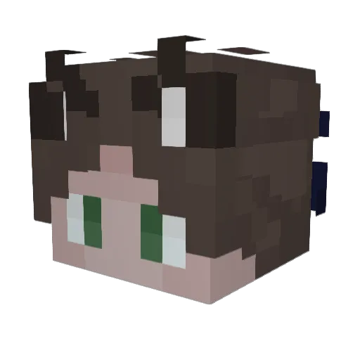 SuHa11 Minecraft avatar head, 3D render