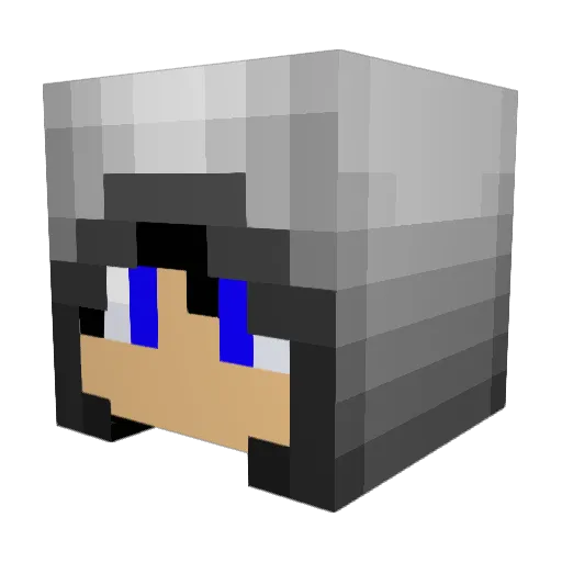 SuJester Minecraft avatar head, 3D render