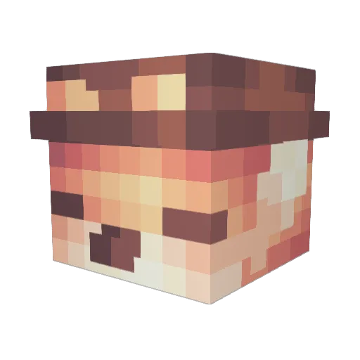 SuJo22 Minecraft avatar head, 3D render