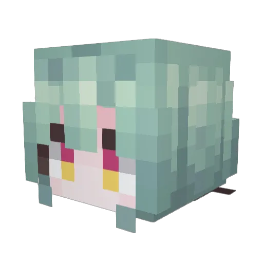 SuMEowe Minecraft avatar head, 3D render