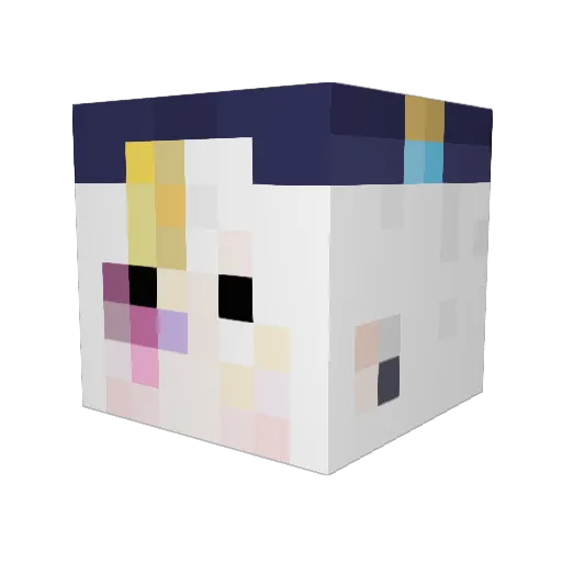 SuN__1 Minecraft avatar head, 3D render
