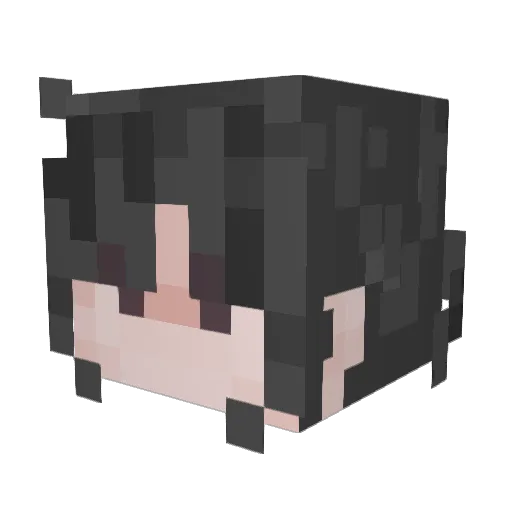 SuShi_Lar2701 Minecraft avatar head, 3D render