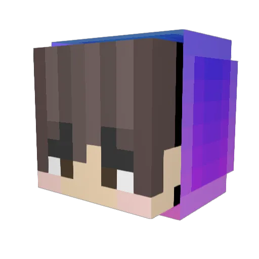 SuSmOnKey22 Minecraft avatar head, 3D render