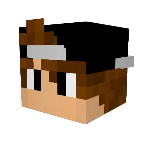 SuStrangee Minecraft avatar head, 3D render