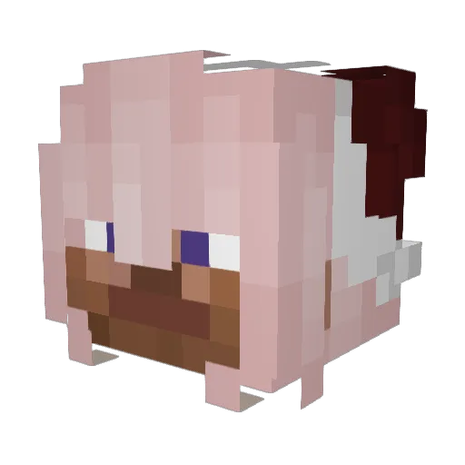 SuSu613 Minecraft avatar head, 3D render