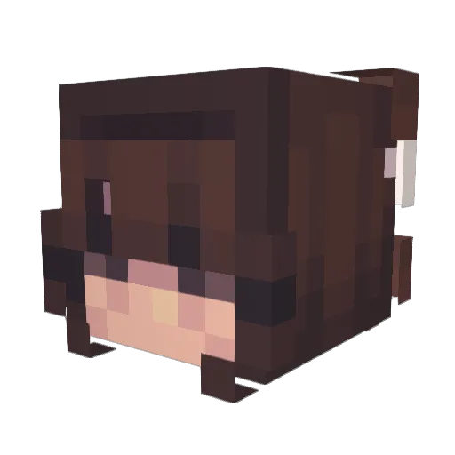 SuTooka Minecraft avatar head, 3D render