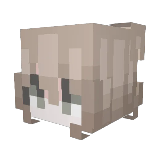 Su_Che Minecraft avatar head, 3D render