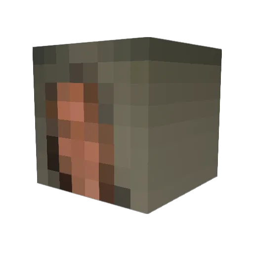 Suavi_ Minecraft avatar head, 3D render