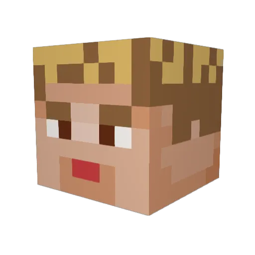 Sub2Ludwig Minecraft avatar head, 3D render