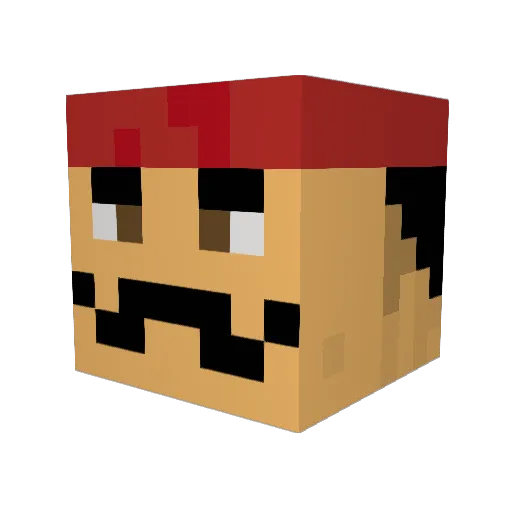 SubFace Minecraft avatar head, 3D render