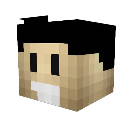 SubMatrix Minecraft avatar head, 3D render