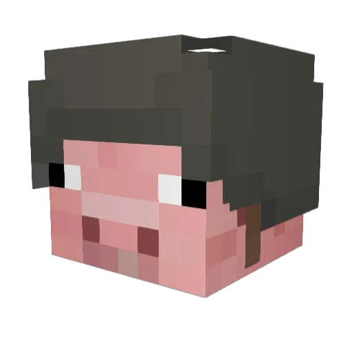 SubZeroTrilogy Minecraft avatar head, 3D render