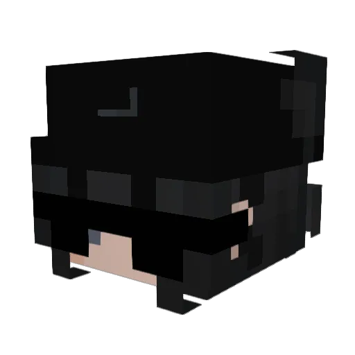 Subarash1 Minecraft avatar head, 3D render
