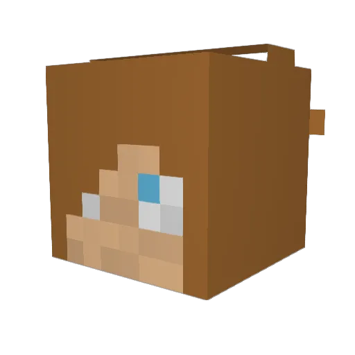 SubatomicTurtles Minecraft avatar head, 3D render