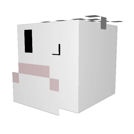 Subatomicfish42 Minecraft avatar head, 3D render