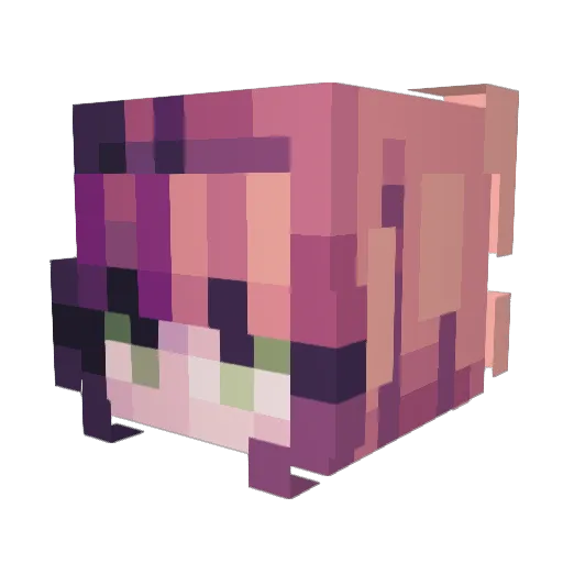 Subbiniea Minecraft avatar head, 3D render