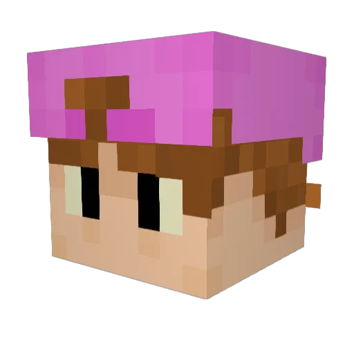 SubcriticalMax Minecraft avatar head, 3D render