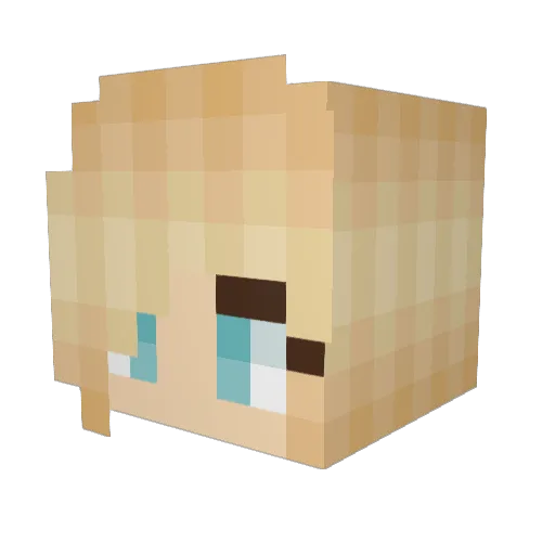 Subgz1 Minecraft avatar head, 3D render