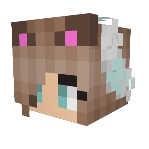 SubhumVn Minecraft avatar head, 3D render